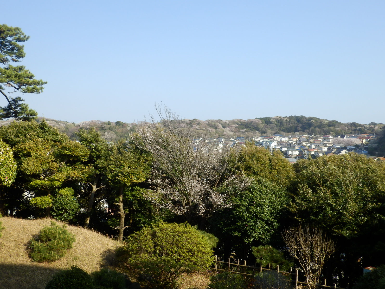 眺望・鎌倉