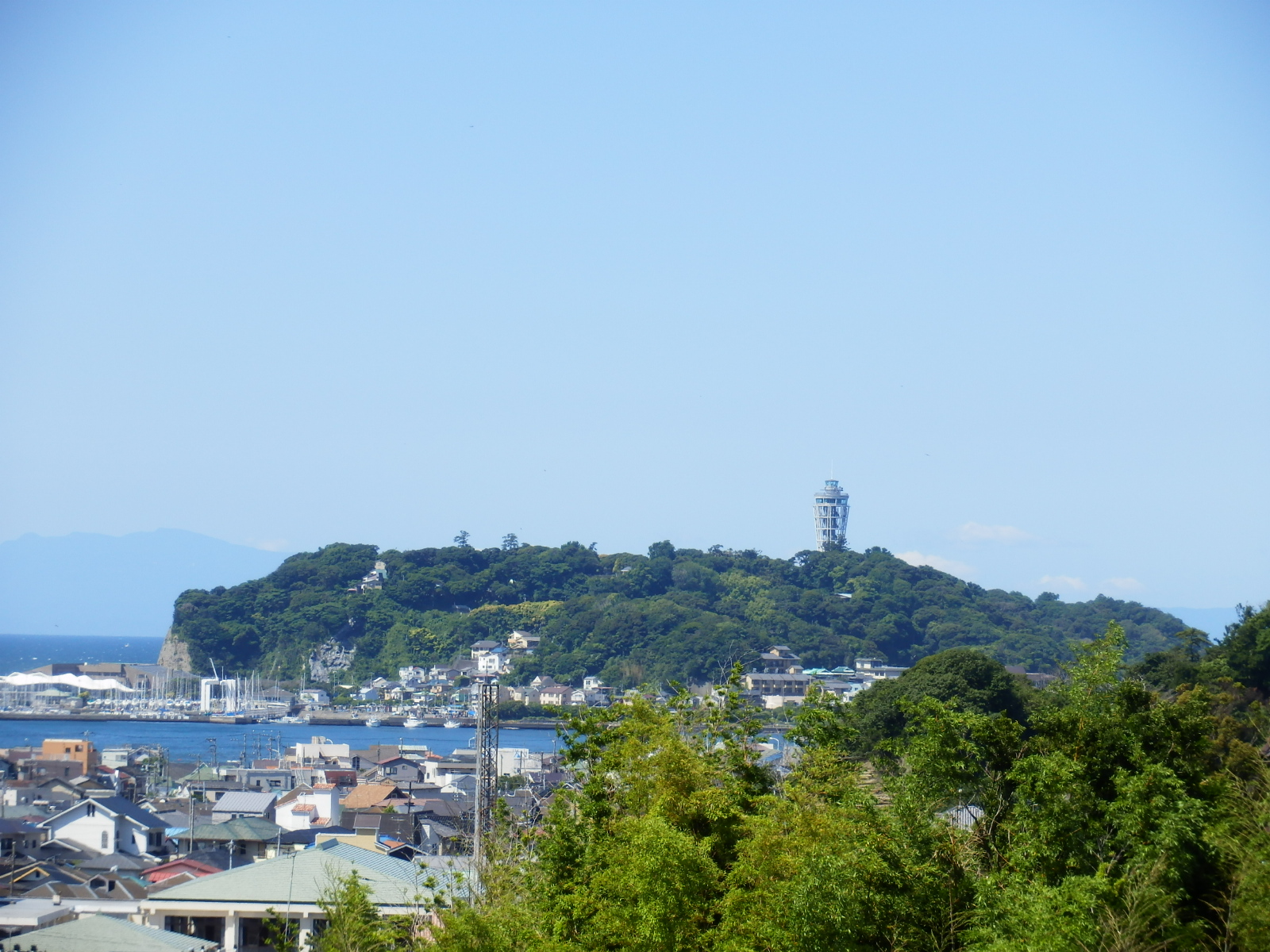 眺望海